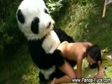 Gros panda en rut baise en levrette une nymphomane